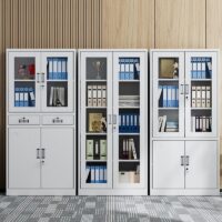 Two door metallic hospital cabinet
