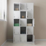 15-Locker steel office cabinet