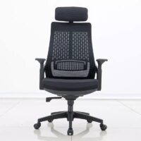 Lama Orthopedic Office Seat with ergonomic lumbar support, breathable materials, and a contoured design for enhanced comfort and posture.