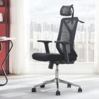 Ergonomic Mesh Office Chair