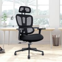 Executive orthopedic office seat