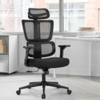 Orthopedic Office Boss Chair - Image 3
