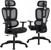 Generic Orthopedic Seat - Image 3