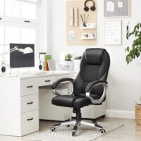 Director's executive office chair