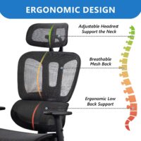 Generic Orthopedic Seat - Image 5