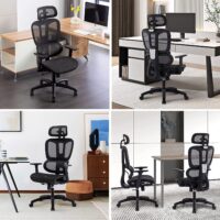 Generic Orthopedic Seat - Image 6