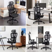 Executive orthopedic office seat - Image 5