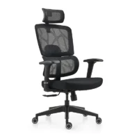 Orthopedic Office Boss Chair - Image 2