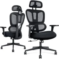 Executive orthopedic office seat - Image 4