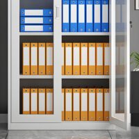 Modern steel filing cabinet with 5 adjustable shelves, sleek design, and a secure locking mechanism for organized office storage.