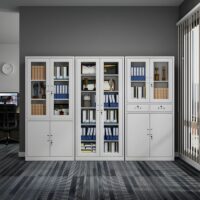 2-door metallic office cabinet with adjustable shelves, lockable doors, and a durable scratch-resistant finish for secure file and supply storage.