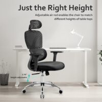 Office Orthopedic Executive Chair with ergonomic lumbar support, adjustable features, and premium cushioning for maximum comfort and productivity.