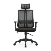 Ergonomic orthopedic mesh high-back office chair with adjustable lumbar support and breathable design for ultimate comfort.