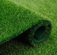 artificial grass landscape, artificial grass landscaping, artificial grass outdoor, artificial grass indoor, artificial grass backyard, artificial grass front yard, artificial grass garden, artificial grass balcony, artificial grass patio, artificial grass roof, artificial grass terrace, artificial grass lawn, artificial grass grass, artificial grass durable, artificial grass weatherproof, artificial grass UV-resistant, artificial grass low-maintenance, artificial grass easy install, artificial grass roll, artificial grass mat, artificial grass eco-friendly, artificial grass realistic, artificial grass natural look, artificial grass green carpet, artificial grass fake lawn, artificial grass soft feel, artificial grass heavy-duty, artificial grass thick pile, artificial grass premium, artificial grass budget, artificial grass kids, artificial grass pets, artificial grass dogs, artificial grass cats, artificial grass play area, artificial grass sports, artificial grass landscape design, artificial grass commercial, artificial grass residential, artificial grass events, artificial grass weddings, artificial grass decor, artificial grass home, artificial grass office, artificial grass school, artificial grass park, artificial grass poolside, artificial grass ground cover, artificial grass soil cover, artificial grass year-round, artificial grass carpet landscape, artificial grass carpet landscaping, artificial grass carpet outdoor, artificial grass carpet indoor, artificial grass carpet backyard, artificial grass carpet front yard, artificial grass carpet garden, artificial grass carpet balcony, artificial grass carpet patio, artificial grass carpet roof, artificial grass carpet terrace, artificial grass carpet lawn, artificial grass carpet grass, artificial grass carpet durable, artificial grass carpet weatherproof, artificial grass carpet UV-resistant, artificial grass carpet low-maintenance, artificial grass carpet easy install, artificial grass carpet roll, artificial grass carpet mat, artificial grass carpet eco-friendly, artificial grass carpet realistic, artificial grass carpet natural look, artificial grass carpet green carpet, artificial grass carpet fake lawn, artificial grass carpet soft feel, artificial grass carpet heavy-duty, artificial grass carpet thick pile, artificial grass carpet premium, artificial grass carpet budget, artificial grass carpet kids, artificial grass carpet pets, artificial grass carpet dogs, artificial grass carpet cats, artificial grass carpet play area, artificial grass carpet sports, artificial grass carpet landscape design, artificial grass carpet commercial, artificial grass carpet residential, artificial grass carpet events, artificial grass carpet weddings, artificial grass carpet decor, artificial grass carpet home, artificial grass carpet office, artificial grass carpet school, artificial grass carpet park, artificial grass carpet poolside, artificial grass carpet ground cover, artificial grass carpet soil cover, artificial grass carpet year-round, landscape artificial turf landscape, landscape artificial turf landscaping, landscape artificial turf outdoor, landscape artificial turf indoor, landscape artificial turf backyard, landscape artificial turf front yard, landscape artificial turf garden, landscape artificial turf balcony, landscape artificial turf patio, landscape artificial turf roof, landscape artificial turf terrace, landscape artificial turf lawn, landscape artificial turf grass, landscape artificial turf durable, landscape artificial turf weatherproof, landscape artificial turf UV-resistant, landscape artificial turf low-maintenance, landscape artificial turf easy install, landscape artificial turf roll, landscape artificial turf mat, landscape artificial turf eco-friendly, landscape artificial turf realistic, landscape artificial turf natural look, landscape artificial turf green carpet, landscape artificial turf fake lawn, landscape artificial turf soft feel, landscape artificial turf heavy-duty, landscape artificial turf thick pile, landscape artificial turf premium, landscape artificial turf budget, landscape artificial turf kids, landscape artificial turf pets, landscape artificial turf dogs, landscape artificial turf cats, landscape artificial turf play area, landscape artificial turf sports, landscape artificial turf landscape design, landscape artificial turf commercial, landscape artificial turf residential, landscape artificial turf events, landscape artificial turf weddings, landscape artificial turf decor, landscape artificial turf home, landscape artificial turf office, landscape artificial turf school, landscape artificial turf park, landscape artificial turf poolside, landscape artificial turf ground cover, landscape artificial turf soil cover, landscape artificial turf year-round, synthetic lawn landscape, synthetic lawn landscaping, synthetic lawn outdoor, synthetic lawn indoor, synthetic lawn backyard, synthetic lawn front yard, synthetic lawn garden, synthetic lawn balcony, synthetic lawn patio, synthetic lawn roof, synthetic lawn terrace, synthetic lawn lawn, synthetic lawn grass, synthetic lawn durable, synthetic lawn weatherproof, synthetic lawn UV-resistant, synthetic lawn low-maintenance, synthetic lawn easy install, synthetic lawn roll, synthetic lawn mat, synthetic lawn eco-friendly, synthetic lawn realistic, synthetic lawn natural look, synthetic lawn green carpet, synthetic lawn fake lawn, synthetic lawn soft feel, synthetic lawn heavy-duty, synthetic lawn thick pile, synthetic lawn premium, synthetic lawn budget, synthetic lawn kids, synthetic lawn pets, synthetic lawn dogs, synthetic lawn cats, synthetic lawn play area, synthetic lawn sports, synthetic lawn landscape design, synthetic lawn commercial, synthetic lawn residential, synthetic lawn events, synthetic lawn weddings, synthetic lawn decor, synthetic lawn home, synthetic lawn office, synthetic lawn school, synthetic lawn park, synthetic lawn poolside, synthetic lawn ground cover, synthetic lawn soil cover, synthetic lawn year-round, fake grass carpet landscape, fake grass carpet landscaping, fake grass carpet outdoor, fake grass carpet indoor, fake grass carpet backyard, fake grass carpet front yard, fake grass carpet garden, fake grass carpet balcony, fake grass carpet patio, fake grass carpet roof, fake grass carpet terrace, fake grass carpet lawn, fake grass carpet grass, fake grass carpet durable, fake grass carpet weatherproof, fake grass carpet UV-resistant, fake grass carpet low-maintenance, fake grass carpet easy install, fake grass carpet roll, fake grass carpet mat, fake grass carpet eco-friendly, fake grass carpet realistic, fake grass carpet natural look, fake grass carpet green carpet, fake grass carpet fake lawn, fake grass carpet soft feel, fake grass carpet heavy-duty, fake grass carpet thick pile, fake grass carpet premium, fake grass carpet budget, fake grass carpet kids, fake grass carpet pets, fake grass carpet dogs, fake grass carpet cats, fake grass carpet play area, fake grass carpet sports, fake grass carpet landscape design, fake grass carpet commercial, fake grass carpet residential, fake grass carpet events, fake grass carpet weddings, fake grass carpet decor, fake grass carpet home, fake grass carpet office, fake grass carpet school, fake grass carpet park, fake grass carpet poolside, fake grass carpet ground cover, fake grass carpet soil cover, fake grass carpet year-round, outdoor artificial grass landscape, outdoor artificial grass landscaping, outdoor artificial grass outdoor, outdoor artificial grass indoor, outdoor artificial grass backyard, outdoor artificial grass front yard, outdoor artificial grass garden, outdoor artificial grass balcony, outdoor artificial grass patio, outdoor artificial grass roof, outdoor artificial grass terrace, outdoor artificial grass lawn, outdoor artificial grass grass, outdoor artificial grass durable, outdoor artificial grass weatherproof, outdoor artificial grass UV-resistant, outdoor artificial grass low-maintenance, outdoor artificial grass easy install, outdoor artificial grass roll, outdoor artificial grass mat, outdoor artificial grass eco-friendly, outdoor artificial grass realistic, outdoor artificial grass natural look, outdoor artificial grass green carpet, outdoor artificial grass fake lawn, outdoor artificial grass soft feel, outdoor artificial grass heavy-duty, outdoor artificial grass thick pile, outdoor artificial grass premium, outdoor artificial grass budget, outdoor artificial grass kids, outdoor artificial grass pets, outdoor artificial grass dogs, outdoor artificial grass cats, outdoor artificial grass play area, outdoor artificial grass sports, outdoor artificial grass landscape design, outdoor artificial grass commercial, outdoor artificial grass residential, outdoor artificial grass events, outdoor artificial grass weddings, outdoor artificial grass decor, outdoor artificial grass home, outdoor artificial grass office, outdoor artificial grass school, outdoor artificial grass park, outdoor artificial grass poolside, outdoor artificial grass ground cover, outdoor artificial grass soil cover, outdoor artificial grass year-round,