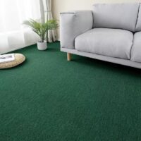 home carpet, carpet, area rug, floor carpet, living room carpet, bedroom carpet, kitchen carpet, dining room carpet, hallway carpet, office carpet, indoor carpet, outdoor carpet, modern carpet, contemporary carpet, classic carpet, luxury carpet, designer carpet, affordable carpet, budget carpet, elegant carpet, stylish carpet, rustic carpet, vintage carpet, traditional carpet, Persian carpet, Oriental carpet, wool carpet, cotton carpet, silk carpet, synthetic carpet, nylon carpet, polyester carpet, polypropylene carpet, shaggy carpet, plush carpet, soft carpet, thick carpet, thin carpet, patterned carpet, plain carpet, geometric carpet, floral carpet, abstract carpet, striped carpet, multicolor carpet, neutral carpet, colorful carpet, textured carpet, anti-slip carpet, machine-washable carpet, hand-woven carpet, tufted carpet, flat-weave carpet, braided carpet, eco-friendly carpet, sustainable carpet, handmade carpet, handcrafted carpet, artisan carpet, bespoke carpet, custom carpet, round carpet, square carpet, rectangular carpet, oval carpet, runner carpet, carpet mat, doormat, entrance carpet, foyer carpet, corridor carpet, stair carpet, step carpet, carpet for kids room, carpet for nursery, carpet for teenager room, carpet for adult room, carpet for guest room, bedroom rug, living room rug, office rug, dining room rug, indoor rug, outdoor rug, patio rug, balcony rug, terrace rug, porch rug, modern rug, contemporary rug, classic rug, luxury rug, designer rug, affordable rug, budget rug, rustic rug, vintage rug, traditional rug, Persian rug, Oriental rug, shaggy rug, plush rug, soft rug, thick rug, thin rug, patterned rug, plain rug, geometric rug, floral rug, abstract rug, striped rug, multicolor rug, neutral rug, textured rug, anti-slip rug, machine-washable rug, hand-woven rug, tufted rug, flat-weave rug, braided rug, eco-friendly rug, sustainable rug, handmade rug, handcrafted rug, artisan rug, bespoke rug, custom rug, round rug, square rug, rectangular rug, oval rug, carpet runner, decorative carpet, floor decoration, home décor carpet, luxury home carpet, budget home carpet, premium carpet, durable carpet, stain-resistant carpet, waterproof carpet, fade-resistant carpet, UV-resistant carpet, hypoallergenic carpet, carpet for pets, carpet for kids, carpet for living room, carpet for bedroom, carpet for office, carpet for kitchen, carpet for hallway, carpet for dining room, carpet for foyer, carpet for corridor, carpet for stairs, carpet for steps, thick wool carpet, soft wool carpet, luxury wool carpet, affordable wool carpet, cotton area rug, silk area rug, synthetic area rug, nylon area rug, polyester area rug, polypropylene area rug, shaggy area rug, plush area rug, handmade area rug, hand-woven area rug, flat-weave area rug, braided area rug, round area rug, square area rug, rectangular area rug, oval area rug, runner rug, entrance rug, doormat rug, indoor carpet mat, outdoor carpet mat, balcony carpet, terrace carpet, porch carpet, modern area rug, contemporary area rug, classic area rug, designer area rug, budget-friendly carpet, rustic area rug, vintage area rug, traditional area rug, Persian area rug, Oriental area rug, geometric area rug, floral area rug, abstract area rug, striped area rug, multicolor area rug, neutral color carpet, patterned home carpet, plain home carpet, textured home carpet, anti-slip home carpet, machine washable home carpet, eco-friendly home carpet, sustainable home carpet, handmade home carpet, handcrafted home carpet, artisan home carpet, bespoke home carpet, custom-made home carpet, premium quality carpet, high-quality carpet, soft floor carpet, thick floor carpet, plush floor carpet, durable floor carpet, budget floor carpet, designer floor carpet, luxury floor carpet, carpet online, area rug online, home carpet online, living room carpet online, bedroom carpet online, office carpet online, dining room carpet online, hallway carpet online, modern home carpet online, contemporary home carpet online, classic home carpet online, luxury home carpet online, designer home carpet online, budget-friendly home carpet online, handmade rug online, hand-woven rug online, wool rug online, cotton rug online, silk rug online, synthetic rug online, nylon rug online, polyester rug online, polypropylene rug online, shaggy rug online, plush rug online, soft rug online, thick rug online, thin rug online, patterned rug online, plain rug online, geometric rug online, floral rug online, abstract rug online, striped rug online, multicolor rug online, neutral rug online, textured rug online, anti-slip rug online, machine-washable rug online, eco-friendly rug online, sustainable rug online, handcrafted rug online, artisan rug online, bespoke rug online, custom rug online, round rug online, square rug online, rectangular rug online, oval rug online, carpet runner online, decorative rug online, floor décor carpet online, indoor décor carpet online, outdoor décor carpet online, patio carpet online, balcony carpet online, terrace carpet online, porch carpet online, multifunctional carpet, multipurpose carpet, compact carpet, large carpet, small carpet, lightweight carpet, durable carpet, heavy-duty carpet, soft carpet, luxury soft carpet, plush soft carpet, thick wool carpet online, soft wool carpet online, cotton area rug online, silk area rug online, synthetic area rug online, nylon area rug online, polyester area rug online, polypropylene area rug online, shaggy area rug online, plush area rug online, handmade area rug online, hand-woven area rug online, flat-weave area rug online, braided area rug online, round area rug online, square area rug online, rectangular area rug online, oval area rug online, runner rug online, entrance rug online, doormat rug online, indoor carpet mat online, outdoor carpet mat online, modern area rug online, contemporary area rug online, classic area rug online, designer area rug online, budget-friendly carpet online, rustic area rug online, vintage area rug online, traditional area rug online, Persian area rug online, Oriental area rug online, geometric area rug online, floral area rug online, abstract area rug online, striped area rug online, multicolor area rug online, neutral color carpet online, patterned home carpet online, plain home carpet online, textured home carpet online, anti-slip home carpet online, machine washable home carpet online, eco-friendly home carpet online, sustainable home carpet online, handmade home carpet online, handcrafted home carpet online, artisan home carpet online, bespoke home carpet online, custom-made home carpet online, premium quality carpet online, high-quality carpet online, soft floor carpet online, thick floor carpet online, plush floor carpet online, durable floor carpet online, budget floor carpet online, designer floor carpet online, luxury floor carpet online, top-rated home carpet, popular home carpet, trending home carpet, best-selling home carpet, new design home carpet, latest model home carpet, handcrafted wool carpet online, eco-friendly rug online, modern home décor carpet online, luxury home décor carpet online Home Carpet Nairobi, Home Carpet Mombasa, Home Carpet Kisumu, Home Carpet Nakuru, Home Carpet Eldoret, Home Carpet Thika, Home Carpet Ruiru, Home Carpet Kiambu, Home Carpet Machakos, Home Carpet Kitengela, Home Carpet Ongata Rongai, Home Carpet Ngong, Home Carpet Kajiado, Home Carpet Limuru, Home Carpet Kikuyu, Home Carpet Juja, Home Carpet Kahawa, Home Carpet Githurai, Home Carpet Roysambu, Home Carpet Kasarani, Home Carpet Embakasi, Home Carpet Donholm, Home Carpet Buruburu, Home Carpet Umoja, Home Carpet Kayole, Home Carpet Pipeline, Home Carpet South B, Home Carpet South C, Home Carpet Langata, Home Carpet Karen, Home Carpet Lavington, Home Carpet Kileleshwa, Home Carpet Westlands, Home Carpet Parklands, Home Carpet Pangani, Home Carpet Eastleigh, Home Carpet Ngara, Home Carpet Kilimani, Home Carpet Upperhill, Home Carpet CBD Nairobi, Home Carpet Industrial Area Nairobi, Home Carpet Athi River, Home Carpet Mlolongo, Home Carpet Syokimau, Home Carpet Ruaka, Home Carpet Wangige, Home Carpet Banana Hill, Home Carpet Tigoni, Home Carpet Kericho, Home Carpet Bomet, Home Carpet Sotik, Home Carpet Narok, Home Carpet Kilgoris, Home Carpet Naivasha, Home Carpet Gilgil, Home Carpet Nanyuki, Home Carpet Nyeri, Home Carpet Karatina, Home Carpet Othaya, Home Carpet Murang’a, Home Carpet Kenol, Home Carpet Kandara, Home Carpet Maragua, Home Carpet Chuka, Home Carpet Meru, Home Carpet Maua, Home Carpet Nkubu, Home Carpet Isiolo, Home Carpet Moyale, Home Carpet Marsabit, Home Carpet Lodwar, Home Carpet Kakamega, Home Carpet Bungoma, Home Carpet Webuye, Home Carpet Malaba, Home Carpet Busia, Home Carpet Mumias, Home Carpet Butere, Home Carpet Vihiga, Home Carpet Hamisi, Home Carpet Luanda, Home Carpet Mbale, Home Carpet Siaya, Home Carpet Bondo, Home Carpet Ugunja, Home Carpet Yala, Home Carpet Homa Bay, Home Carpet Mbita, Home Carpet Oyugis, Home Carpet Migori, Home Carpet Rongo, Home Carpet Awendo, Home Carpet Kehancha, Home Carpet Kisii, Home Carpet Nyamira, Home Carpet Keroka, Home Carpet Suneka, Home Carpet Kapenguria, Home Carpet Kitale, Home Carpet Kapsabet, Home Carpet Nandi Hills, Home Carpet Iten, Home Carpet Kabarnet, Home Carpet Marigat, Home Carpet Baringo, Home Carpet Molo, Home Carpet Subukia, Home Carpet Nyahururu, Home Carpet Ol Kalou, Home Carpet Rumuruti, Home Carpet Nyandarua, Home Carpet Voi, Home Carpet Wundanyi, Home Carpet Taveta, Home Carpet Mwatate, Home Carpet Lamu, Home Carpet Malindi, Home Carpet Kilifi, Home Carpet Watamu, Home Carpet Diani, Home Carpet Ukunda, Home Carpet Msambweni, Home Carpet Kwale, Home Carpet Hola, Home Carpet Garsen, Home Carpet Bura, Home Carpet Garissa, Home Carpet Wajir, Home Carpet Mandera, Home Carpet Mwingi, Home Carpet Kitui, Home Carpet Mutomo, Home Carpet Ikutha, Home Carpet Kibwezi, Home Carpet Makindu, Home Carpet Sultan Hamud, Home Carpet Emali, Home Carpet Kapsowar, Home Carpet Chepkorio, Home Carpet Turbo, Home Carpet Mois Bridge, Home Carpet Burnt Forest, Home Carpet Timau, Home Carpet Kinangop, Home Carpet Engineer, Home Carpet Magadi, Home Carpet Namanga, Home Carpet Loitokitok, Home Carpet Mpeketoni, Home Carpet Faza, Home Carpet Kiunga, Home Carpet Rhamu, Home Carpet Elwak, Home Carpet Takaba, Home Carpet Kiminini, Home Carpet Endebess, Home Carpet Saboti, Home Carpet Kimilili, Home Carpet Sirisia, Home Carpet Chwele, Home Carpet Kanduyi, Home Carpet Nambale, Home Carpet Funyula, Home Carpet Budalangi, Home Carpet Port Victoria, Home Carpet Sindo, Home Carpet Kendu Bay, Home Carpet Ahero, Home Carpet Sondu, Home Carpet Maseno, Home Carpet Awasi, Home Carpet Muhoroni, Home Carpet Fort Ternan, Home Carpet Litein, Home Carpet Londiani, Home Carpet Kipkelion, Home Carpet Kapsoit, Home Carpet Chepseon, Home Carpet Kapkatet, Home Carpet Keringet, Home Carpet Elburgon, Home Carpet Njoro, Home Carpet Rongai Nakuru, Home Carpet Bahati, Home Carpet Dundori, Home Carpet Mau Summit, Home Carpet Salgaa, Home Carpet Longonot, Home Carpet Narumoru, Home Carpet Kiganjo, Home Carpet Ruring’u, Home Carpet King’ong’o, Home Carpet Gatundu, Home Carpet Githunguri, Home Carpet Kamwangi, Home Carpet Kiserian, Home Carpet Kitisuru, Home Carpet Mountain View, Home Carpet Ruai, Home Carpet Joska, Home Carpet Kamulu, Home Carpet Utawala, Home Carpet Tatu City, Home Carpet Greenspan, Home Carpet Nyayo Estate, Home Carpet Muthaiga, Home Carpet Gigiri, Home Carpet Runda, Home Carpet Mombasa Road, Home Carpet Juja Town, Home Carpet Thika Road, Home Carpet Kitengela Estate, Home Carpet Ongata Rongai Center, Home Carpet Ngong Road, Home Carpet Karen Estate, Home Carpet Lavington Estate, Home Carpet Kileleshwa Estate, Home Carpet Westlands Area, Home Carpet Parklands Estate, Home Carpet Pangani Estate, Home Carpet Eastleigh Area, Home Carpet Ngara Estate, Home Carpet Kilimani Area, Home Carpet Upperhill Estate, Home Carpet CBD Nairobi Area, Home Carpet Industrial Area, Home Carpet Athi River Town, Home Carpet Mlolongo Estate, Home Carpet Syokimau Estate, Home Carpet Ruaka Town, Home Carpet Wangige Estate, Home Carpet Banana Hill Estate, Home Carpet Tigoni Estate