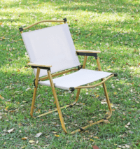 home chair for guests, visitor chair for home, extra seating chair, family home chair