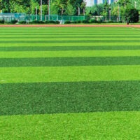 home carpet, area rug, living room carpet, bedroom carpet, modern home carpet, wool carpet, synthetic carpet, Persian-style carpet, oriental carpet, decorative carpet, luxury home carpet, soft home carpet, thick pile carpet, low pile carpet, shaggy carpet, washable carpet, durable home carpet, anti-slip carpet, carpet runner, carpet mat, carpet for home decor, stylish home carpet, contemporary carpet, classic home carpet, patterned carpet, plain home carpet, carpet for kids room, carpet for dining room, carpet for hallway, carpet for entryway, carpet for lounge, eco-friendly carpet, reversible carpet, carpet with border design, geometric carpet, floral carpet, carpet with abstract design, machine-made carpet, hand-woven carpet, premium home carpet, affordable home carpet, indoor carpet, home floor carpet, cozy home carpet, soft-touch carpet, carpet with cushioned backing, carpet for apartment, carpet for modern homes, carpet for small spaces, carpet for large rooms, decorative floor covering, home carpet for interior styling, carpet for furniture placement, carpet for home renovation, carpet with elegant look, carpet with stylish patterns, carpet for contemporary living, carpet with classic appeal, carpet with rich colors, durable floor carpet, stain-resistant carpet, fade-resistant carpet, eco-friendly material carpet, carpet with modern design, carpet with intricate patterns, plush home carpet, comfortable carpet, carpet for relaxation area, bedroom rug carpet, living room rug carpet, home decor carpet, carpet for family room, carpet for lounge area, stylish area carpet, contemporary design carpet, premium quality carpet, carpet with soft texture, carpet with decorative borders, luxury soft carpet, functional home carpet, carpet for cozy home, carpet for modern interior, carpet with elegant texture, home carpet with versatile design, machine-washable carpet, anti-static carpet, carpet with high durability, premium fiber carpet, carpet for everyday use, carpet for indoor flooring, home carpet with aesthetic appeal, carpet for home makeover, carpet with decorative patterns, modern patterned carpet, carpet with classic design, home carpet for decoration, carpet with smooth texture, carpet for comfortable walking, carpet with soft pile, home carpet for sophisticated look, carpet with vibrant colors, carpet for living spaces, carpet with long-lasting quality, home carpet for stylish interiors, carpet for decorative flooring, soft shag carpet, thin pile carpet, luxury decorative carpet, carpet with plush feel, carpet for bedroom comfort, carpet with modern home elegance, carpet for contemporary home decor, carpet for stylish flooring, home carpet with artistic patterns, home carpet with classic motifs, carpet for elegant interior, carpet for cozy living room, carpet for furniture accent, carpet for decorative home accents, home carpet for modern lifestyle, carpet for interior design, carpet with vibrant and rich colors, home carpet with premium finish, stylish soft carpet, carpet for warm flooring, carpet with smooth finish, home carpet for aesthetic interiors, carpet for family-friendly spaces, carpet for home decoration ideas, decorative indoor carpet, carpet with comfortable cushioning, carpet for elegant home design, carpet for modern home furniture, carpet with subtle design, carpet for minimalist interiors, home carpet for sophisticated living, carpet for elegant bedroom style, carpet for living room ambiance, carpet for contemporary home styling, carpet with decorative touch, home carpet for luxury flooring, carpet with durable fibers, carpet with soft luxurious feel, carpet with classic and modern blend, carpet for refined interior, carpet for aesthetic home appeal, carpet for elegant flooring solution, carpet with premium texture, home carpet for stylish room makeover, decorative plush carpet, carpet for interior home upgrade, carpet with high-quality material, home carpet for cozy ambiance, carpet with elegant patterns and colors, carpet for modern interior decor, carpet for upscale living spaces, home carpet with stylish functionality. Home Carpet Nairobi, Home Carpet Mombasa, Home Carpet Kisumu, Home Carpet Nakuru, Home Carpet Eldoret, Home Carpet Thika, Home Carpet Ruiru, Home Carpet Kikuyu, Home Carpet Kiambu, Home Carpet Machakos, Home Carpet Meru, Home Carpet Nyeri, Home Carpet Naivasha, Home Carpet Kitale, Home Carpet Garissa, Home Carpet Kakamega, Home Carpet Kericho, Home Carpet Kisii, Home Carpet Malindi, Home Carpet Kilifi, Home Carpet Lamu, Home Carpet Voi, Home Carpet Narok, Home Carpet Nanyuki, Home Carpet Nyahururu, Home Carpet Kajiado, Home Carpet Ngong, Home Carpet Kitengela, Home Carpet Athi River, Home Carpet Mlolongo, Home Carpet Limuru, Home Carpet Karuri, Home Carpet Kangundo, Home Carpet Tala, Home Carpet Makueni, Home Carpet Wote, Home Carpet Emali, Home Carpet Makindu, Home Carpet Mtito Andei, Home Carpet Chuka, Home Carpet Embu, Home Carpet Runyenjes, Home Carpet Kerugoya, Home Carpet Sagana, Home Carpet Murang’a, Home Carpet Maragua, Home Carpet Kandara, Home Carpet Othaya, Home Carpet Karatina, Home Carpet Naro Moru, Home Carpet Timau, Home Carpet Maua, Home Carpet Nkubu, Home Carpet Isiolo, Home Carpet Marsabit, Home Carpet Moyale, Home Carpet Mandera, Home Carpet Wajir, Home Carpet Hola, Home Carpet Garsen, Home Carpet Bura, Home Carpet Lodwar, Home Carpet Lokichoggio, Home Carpet Kakuma, Home Carpet Kapenguria, Home Carpet Kapsabet, Home Carpet Nandi Hills, Home Carpet Iten, Home Carpet Eldama Ravine, Home Carpet Kabarnet, Home Carpet Marigat, Home Carpet Rumuruti, Home Carpet Gilgil, Home Carpet Subukia, Home Carpet Molo, Home Carpet Njoro, Home Carpet Keringet, Home Carpet Elburgon, Home Carpet Londiani, Home Carpet Muhoroni, Home Carpet Ahero, Home Carpet Maseno, Home Carpet Bondo, Home Carpet Siaya, Home Carpet Ugunja, Home Carpet Yala, Home Carpet Ukwala, Home Carpet Homa Bay, Home Carpet Mbita, Home Carpet Oyugis, Home Carpet Rongo, Home Carpet Migori, Home Carpet Kehancha, Home Carpet Awendo, Home Carpet Isebania, Home Carpet Nyamira, Home Carpet Keroka, Home Carpet Suneka, Home Carpet Ogembo, Home Carpet Tabaka, Home Carpet Webuye, Home Carpet Kimilili, Home Carpet Bungoma, Home Carpet Malaba, Home Carpet Busia, Home Carpet Nambale, Home Carpet Mumias, Home Carpet Butere, Home Carpet Khwisero, Home Carpet Luanda, Home Carpet Vihiga, Home Carpet Hamisi, Home Carpet Kaimosi, Home Carpet Kendu Bay, Home Carpet Katito, Home Carpet Nyando, Home Carpet Sondu, Home Carpet Bomet, Home Carpet Sotik, Home Carpet Litein, Home Carpet Kapkatet, Home Carpet Kilgoris, Home Carpet Suswa, Home Carpet Mai Mahiu, Home Carpet Longonot, Home Carpet Diani, Home Carpet Ukunda, Home Carpet Msambweni, Home Carpet Kwale, Home Carpet Kinango, Home Carpet Lungalunga, Home Carpet Shimoni, Home Carpet Watamu, Home Carpet Gede, Home Carpet Kaloleni, Home Carpet Mariakani, Home Carpet Mazeras, Home Carpet Taveta, Home Carpet Wundanyi, Home Carpet Mwatate, Home Carpet Maungu, Home Carpet Githurai, Home Carpet Kahawa, Home Carpet Kahawa West, Home Carpet Kahawa Sukari, Home Carpet Kasarani, Home Carpet Roysambu, Home Carpet Ruaka, Home Carpet Banana Hill, Home Carpet Tigoni, Home Carpet Kiserian, Home Carpet Ongata Rongai, Home Carpet Dagoretti, Home Carpet Langata, Home Carpet Westlands, Home Carpet Karen, Home Carpet Runda, Home Carpet Parklands, Home Carpet South B, Home Carpet South C, Home Carpet Embakasi, Home Carpet Donholm, Home Carpet Umoja, Home Carpet Kayole, Home Carpet Komarock, Home Carpet Buruburu, Home Carpet Dandora, Home Carpet Kariobangi, Home Carpet Zimmerman, Home Carpet Ngara, Home Carpet Pangani, Home Carpet Eastleigh, Home Carpet Kileleshwa, Home Carpet Kilimani, Home Carpet Lavington, Home Carpet Spring Valley, Home Carpet Riverside, Home Carpet Gigiri, Home Carpet Muthaiga, Home Carpet Ridgeways, Home Carpet Garden Estate, Home Carpet Thome, Home Carpet Ruai, Home Carpet Njiru, Home Carpet Kamulu, Home Carpet Syokimau, Home Carpet Katani, Home Carpet Mavoko, Home Carpet Joska, Home Carpet Kangundo Road, Home Carpet Utawala, Home Carpet Mihango, Home Carpet Kawangware, Home Carpet Githunguri, Home Carpet Gatundu, Home Carpet Juja, Home Carpet Juja Farm, Home Carpet Kenyatta Road, Home Carpet Makongeni, Home Carpet Ndumberi, Home Carpet Kabete, Home Carpet Wangige, Home Carpet Uthiru, Home Carpet Kinoo, Home Carpet Lower Kabete, Home Carpet Ol Kalou, Home Carpet Engineer, Home Carpet Kinangop, Home Carpet Kipipiri, Home Carpet Mweiga, Home Carpet Tetu, Home Carpet Mathira, Home Carpet Mukurweini, Home Carpet Mpeketoni, Home Carpet Hindi, Home Carpet Witu, Home Carpet Kiunga, Home Carpet Tarbaj, Home Carpet Eldas, Home Carpet Habaswein, Home Carpet Rhamu, Home Carpet Lafey, Home Carpet Takaba, Home Carpet Banissa, Home Carpet Elwak, Home Carpet Kutulo, Home Carpet Dadaab, Home Carpet Balambala, Home Carpet Modogashe, Home Carpet Ijara, Home Carpet Garbatulla, Home Carpet Merti, Home Carpet Laisamis, Home Carpet North Horr, Home Carpet Loiyangalani, Home Carpet Dukana, Home Carpet Sololo, Home Carpet Bubisa, Home Carpet Todonyang, Home Carpet Kalokol, Home Carpet Lokitaung, Home Carpet Lokori, Home Carpet Katilu, Home Carpet Kainuk, Home Carpet Lorugum, Home Carpet Alale, Home Carpet Chepareria, Home Carpet Sigor, Home Carpet Ortum, Home Carpet Kacheliba, Home Carpet Cheptais, Home Carpet Sirisia, Home Carpet Chwele, Home Carpet Kapsokwony, Home Carpet Embakasi North, Home Carpet Embakasi East, Home Carpet Embakasi West, Home Carpet Embakasi South, Home Carpet Ruai West, Home Carpet Kitengela East, Home Carpet Kitengela West, Home Carpet Athi River North, Home Carpet Athi River South, Home Carpet Mlolongo East, Home Carpet Mlolongo West, Home Carpet Juja North, Home Carpet Juja South, Home Carpet Kikuyu East, Home Carpet Kikuyu West, Home Carpet Limuru East, Home Carpet Limuru West, Home Carpet Thika East, Home Carpet Thika West, Home Carpet Ngong East, Home Carpet Ngong West, Home Carpet Machakos Town, Home Carpet Machakos East, Home Carpet Machakos West, Home Carpet Voi East, Home Carpet Voi West, Home Carpet Taveta East, Home Carpet Taveta West, Home Carpet Wote East, Home Carpet Wote West, Home Carpet Kitale East, Home Carpet Kitale West, Home Carpet Kisumu East, Home Carpet Kisumu West, Home Carpet Eldoret East, Home Carpet Eldoret West, Home Carpet Nakuru East, Home Carpet Nakuru West, Home Carpet Naivasha East, Home Carpet Naivasha West, Home Carpet Nyeri East, Home Carpet Nyeri West, Home Carpet Meru East, Home Carpet Meru West, Home Carpet Garissa East, Home Carpet Garissa West, Home Carpet Kakamega East, Home Carpet Kakamega West, Home Carpet Kericho East, Home Carpet Kericho West, Home Carpet Kisii East, Home Carpet Kisii West, Home Carpet Malindi East, Home Carpet Malindi West, Home Carpet Kilifi East, Home Carpet Kilifi West, Home Carpet Lamu East, Home Carpet Lamu West, Home Carpet Narok East, Home Carpet Narok West, Home Carpet Nanyuki East, Home Carpet Nanyuki West, Home Carpet Nyahururu East, Home Carpet Nyahururu West, Home Carpet Kajiado East, Home Carpet Kajiado West, Home Carpet Marsabit East, Home Carpet Marsabit West, Home Carpet Moyale East, Home Carpet Moyale West, Home Carpet Mandera East, Home Carpet Mandera West, Home Carpet Wajir East, Home Carpet Wajir West, Home Carpet Isiolo East, Home Carpet Isiolo West, Home Carpet Lodwar East, Home Carpet Lodwar West, Home Carpet Lokichoggio East, Home Carpet Lokichoggio West, Home Carpet Kakuma East, Home Carpet Kakuma West, Home Carpet Kapenguria East, Home Carpet Kapenguria West, Home Carpet Kapsabet East, Home Carpet Kapsabet West, Home Carpet Nandi Hills East, Home Carpet Nandi Hills West, Home Carpet Iten East, Home Carpet Iten West, Home Carpet Eldama Ravine East, Home Carpet Eldama Ravine West, Home Carpet Kabarnet East, Home Carpet Kabarnet West, Home Carpet Marigat East, Home Carpet Marigat West, Home Carpet Rumuruti East, Home Carpet Rumuruti West, Home Carpet Gilgil East, Home Carpet Gilgil West, Home Carpet Subukia East, Home Carpet Subukia West, Home Carpet Molo East, Home Carpet Molo West, Home Carpet Njoro East, Home Carpet Njoro West, Home Carpet Keringet East, Home Carpet Keringet West, Home Carpet Elburgon East, Home Carpet Elburgon West, Home Carpet Londiani East, Home Carpet Londiani West, Home Carpet Muhoroni East, Home Carpet Muhoroni West, Home Carpet Ahero East, Home Carpet Ahero West, Home Carpet Maseno East, Home Carpet Maseno West, Home Carpet Bondo East, Home Carpet Bondo West, Home Carpet Siaya East, Home Carpet Siaya West, Home Carpet Ugunja East, Home Carpet Ugunja West, Home Carpet Yala East, Home Carpet Yala West, Home Carpet Homa Bay East, Home Carpet Homa Bay West, Home Carpet Mbita East, Home Carpet Mbita West, Home Carpet Oyugis East, Home Carpet Oyugis West, Home Carpet Rongo East, Home Carpet Rongo West, Home Carpet Migori East, Home Carpet Migori West, Home Carpet Kehancha East, Home Carpet Kehancha West, Home Carpet Awendo East, Home Carpet Awendo West, Home Carpet Isebania East, Home Carpet Isebania West, Home Carpet Nyamira East, Home Carpet Nyamira West, Home Carpet Keroka East, Home Carpet Keroka West, Home Carpet Suneka East, Home Carpet Suneka West, Home Carpet Ogembo East, Home Carpet Ogembo West, Home Carpet Tabaka East, Home Carpet Tabaka West, Home Carpet Webuye East, Home Carpet Webuye West, Home Carpet Kimilili East, Home Carpet Kimilili West, Home Carpet Bungoma East, Home Carpet Bungoma West, Home Carpet Malaba East, Home Carpet Malaba West, Home Carpet Busia East, Home Carpet Busia West, Home Carpet Nambale East, Home Carpet Nambale West, Home Carpet Mumias East, Home Carpet Mumias West, Home Carpet Butere East, Home Carpet Butere West, Home Carpet Khwisero East, Home Carpet Khwisero West, Home Carpet Luanda East, Home Carpet Luanda West, Home Carpet Vihiga East, Home Carpet Vihiga West, Home Carpet Hamisi East, Home Carpet Hamisi West, Home Carpet Kaimosi East, Home Carpet Kaimosi West, Home Carpet Kendu Bay East, Home Carpet Kendu Bay West, Home Carpet Katito East, Home Carpet Katito West, Home Carpet Nyando East, Home Carpet Nyando West, Home Carpet Sondu East, Home Carpet Sondu West, Home Carpet Bomet East, Home Carpet Bomet West, Home Carpet Sotik East, Home Carpet Sotik West, Home Carpet Litein East, Home Carpet Litein West, Home Carpet Kapkatet East, Home Carpet Kapkatet West, Home Carpet Kilgoris East, Home Carpet Kilgoris West, Home Carpet Suswa East, Home Carpet Suswa West, Home Carpet Mai Mahiu East, Home Carpet Mai Mahiu West, Home Carpet Longonot East, Home Carpet Longonot West, Home Carpet Diani East, Home Carpet Diani West, Home Carpet Ukunda East, Home Carpet Ukunda West, Home Carpet Msambweni East, Home Carpet Msambweni West, Home Carpet Kwale East, Home Carpet Kwale West, Home Carpet Kinango East, Home Carpet Kinango West, Home Carpet Lungalunga East, Home Carpet Lungalunga West, Home Carpet Shimoni East, Home Carpet Shimoni West, Home Carpet Watamu East, Home Carpet Watamu West, Home Carpet Gede East, Home Carpet Gede West, Home Carpet Kaloleni East, Home Carpet Kaloleni West, Home Carpet Mariakani East, Home Carpet Mariakani West, Home Carpet Mazeras East, Home Carpet Mazeras West, Home Carpet Taveta East, Home Carpet Taveta West, Home Carpet Wundanyi East, Home Carpet Wundanyi West, Home Carpet Mwatate East, Home Carpet Mwatate West, Home Carpet Maungu East, Home Carpet Maungu West, Home Carpet Githurai East, Home Carpet Githurai West, Home Carpet Kahawa East, Home Carpet Kahawa West, Home Carpet Kahawa Sukari East, Home Carpet Kahawa Sukari West, Home Carpet Kasarani East, Home Carpet Kasarani West, Home Carpet Roysambu East, Home Carpet Roysambu West, Home Carpet Ruaka East, Home Carpet Ruaka West, Home Carpet Banana Hill East, Home Carpet Banana Hill West, Home Carpet Tigoni East, Home Carpet Tigoni West, Home Carpet Kiserian East, Home Carpet Kiserian West, Home Carpet Ongata Rongai East, Home Carpet Ongata Rongai West, Home Carpet Dagoretti East, Home Carpet Dagoretti West, Home Carpet Langata East, Home Carpet Langata West, Home Carpet Westlands East, Home Carpet Westlands West, Home Carpet Karen East, Home Carpet Karen West, Home Carpet Runda East, Home Carpet Runda West, Home Carpet Parklands East, Home Carpet Parklands West, Home Carpet South B East, Home Carpet South B West, Home Carpet South C East, Home Carpet South C West, Home Carpet Embakasi East, Home Carpet Embakasi West, Home Carpet Donholm East, Home Carpet Donholm West, Home Carpet Umoja East, Home Carpet Umoja West, Home Carpet Kayole East, Home Carpet Kayole West, Home Carpet Komarock East, Home Carpet Komarock West, Home Carpet Buruburu East, Home Carpet Buruburu West, Home Carpet Dandora East, Home Carpet Dandora West, Home Carpet Kariobangi East, Home Carpet Kariobangi West, Home Carpet Zimmerman East, Home Carpet Zimmerman West, Home Carpet Ngara East, Home Carpet Ngara West, Home Carpet Pangani East, Home Carpet Pangani West, Home Carpet Eastleigh East, Home Carpet Eastleigh West, Home Carpet Kileleshwa East, Home Carpet Kileleshwa West, Home Carpet Kilimani East, Home Carpet Kilimani West, Home Carpet Lavington East, Home Carpet Lavington West, Home Carpet Spring Valley East, Home Carpet Spring Valley West, Home Carpet Riverside East, Home Carpet Riverside West, Home Carpet Gigiri East, Home Carpet Gigiri West, Home Carpet Muthaiga East, Home Carpet Muthaiga West, Home Carpet Ridgeways East, Home Carpet Ridgeways West, Home Carpet Garden Estate East, Home Carpet Garden Estate West, Home Carpet Thome East, Home Carpet Thome West, Home Carpet Ruai East, Home Carpet Ruai West, Home Carpet Njiru East, Home Carpet Njiru West, Home Carpet Kamulu East, Home Carpet Kamulu West, Home Carpet Syokimau East, Home Carpet Syokimau West, Home Carpet Katani East, Home Carpet Katani West, Home Carpet Mavoko East, Home Carpet Mavoko West, Home Carpet Joska East, Home Carpet Joska West, Home Carpet Kangundo Road East, Home Carpet Kangundo Road West, Home Carpet Utawala East, Home Carpet Utawala West, Home Carpet Mihango East, Home Carpet Mihango West, Home Carpet Kawangware East, Home Carpet Kawangware West, Home Carpet Githunguri East, Home Carpet Githunguri West, Home Carpet Gatundu East, Home Carpet Gatundu West, Home Carpet Juja East, Home Carpet Juja West, Home Carpet Juja Farm East, Home Carpet Juja Farm West, Home Carpet Kenyatta Road East, Home Carpet Kenyatta Road West, Home Carpet Makongeni East, Home Carpet Makongeni West, Home Carpet Ndumberi East, Home Carpet Ndumberi West, Home Carpet Kabete East, Home Carpet Kabete West, Home Carpet Wangige East, Home Carpet Wangige West, Home Carpet Uthiru East, Home Carpet Uthiru West, Home Carpet Kinoo East, Home Carpet Kinoo West, Home Carpet Lower Kabete East, Home Carpet Lower Kabete West, Home Carpet Ol Kalou East, Home Carpet Ol Kalou West, Home Carpet Engineer East, Home Carpet Engineer West, Home Carpet Kinangop East, Home Carpet Kinangop West, Home Carpet Kipipiri East, Home Carpet Kipipiri West, Home Carpet Mweiga East, Home Carpet Mweiga West, Home Carpet Tetu East, Home Carpet Tetu West, Home Carpet Mathira East, Home Carpet Mathira West, Home Carpet Mukurweini East, Home Carpet Mukurweini West, Home Carpet Mpeketoni East, Home Carpet Mpeketoni West, Home Carpet Hindi East, Home Carpet Hindi West, Home Carpet Witu East, Home Carpet Witu West, Home Carpet Kiunga East, Home Carpet Kiunga West, Home Carpet Tarbaj East, Home Carpet Tarbaj West, Home Carpet Eldas East, Home Carpet Eldas West, Home Carpet Habaswein East, Home Carpet Habaswein West, Home Carpet Rhamu East, Home Carpet Rhamu West, Home Carpet Lafey East, Home Carpet Lafey West, Home Carpet Takaba East, Home Carpet Takaba West, Home Carpet Banissa East, Home Carpet Banissa West, Home Carpet Elwak East, Home Carpet Elwak West, Home Carpet Kutulo East, Home Carpet Kutulo West, Home Carpet Dadaab East, Home Carpet Dadaab West, Home Carpet Balambala East, Home Carpet Balambala West, Home Carpet Modogashe East, Home Carpet Modogashe West, Home Carpet Ijara East, Home Carpet Ijara West, Home Carpet Garbatulla East, Home Carpet Garbatulla West, Home Carpet Merti East, Home Carpet Merti West, Home Carpet Laisamis East, Home Carpet Laisamis West